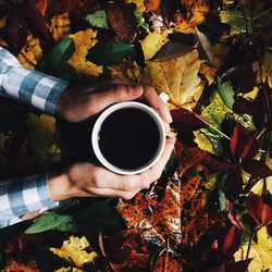 Cropped hands holding coffee cup over leaves