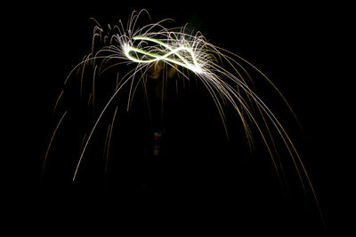 Low angle view of firework display at night