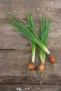 High angle view of vegetables on table