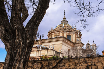 Low angle view of trees and building against sky