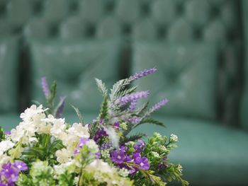 Close-up of purple flowers blooming outdoors