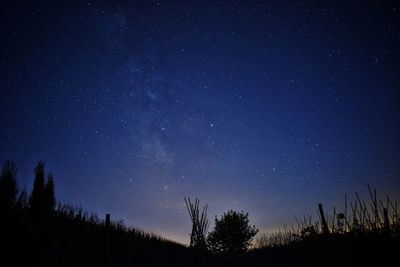 Low angle view of silhouette trees against star field at night