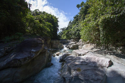 Scenic view of waterfall in forest against sky