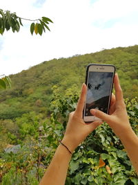 Midsection of person photographing with mobile phone in park