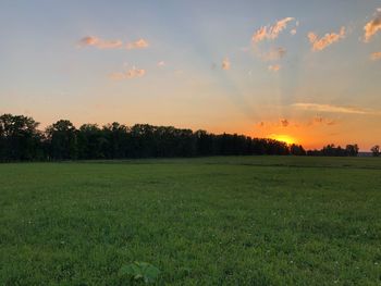 Scenic view of grassy field against sky during sunset