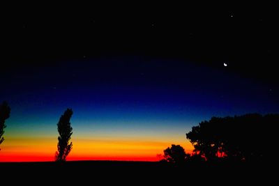 Silhouette of trees at sunset