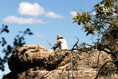 View of bird on rock against sky
