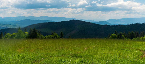 Scenic view of landscape and mountains against sky