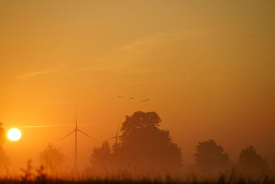 Silhouette of trees against sky during sunset