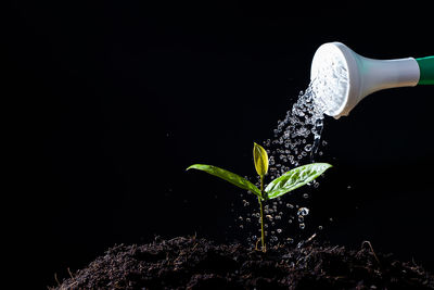 Close-up of splashing water against black background