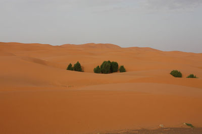 Scenic view of landscape