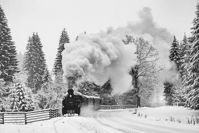 Beautiful bukovina steam train mocanita