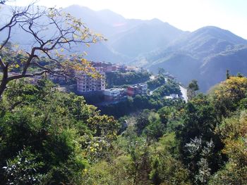 Scenic view of trees and mountains against sky