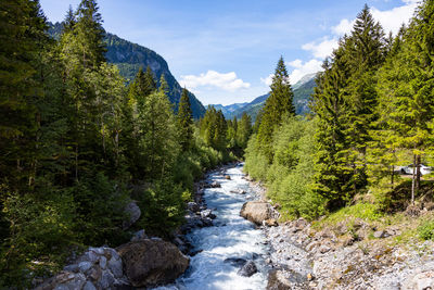 Scenic view of river amidst trees in forest against sky