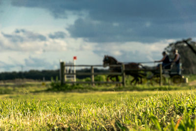 Close-up of agricultural field against sky