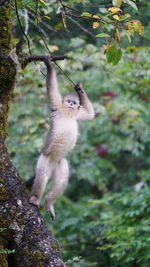 View of tree branch