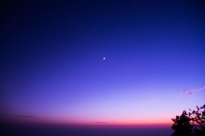 Low angle view of moon in sky at night