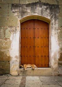 Closed door of old building