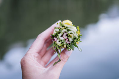 Close-up of hand holding plant against white wall