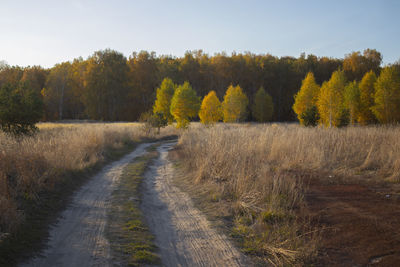 Road amidst trees against sky during autumn