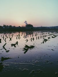 Scenic view of lake against sky during sunset