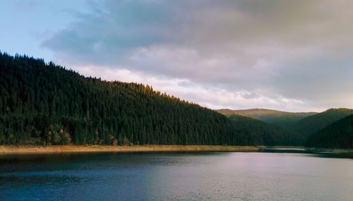 Scenic view of lake by trees against sky