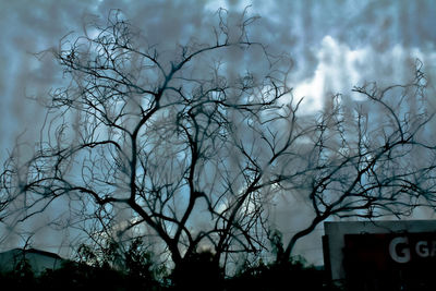 Low angle view of bare tree against cloudy sky