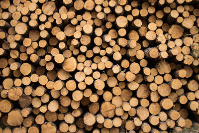 Full frame shot of firewood