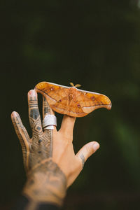 Close-up of hand holding leaf against black background