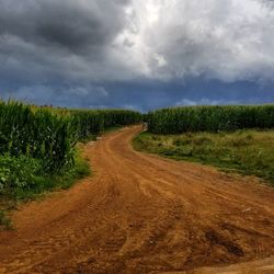 Road amidst agricultural field against sky