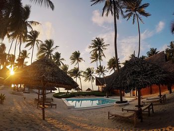 Palm trees on beach against sky