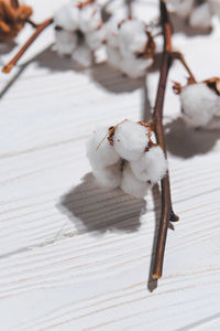 Close-up of snow on table