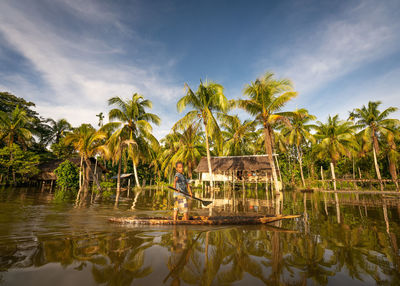 Palm trees by swimming pool against sky