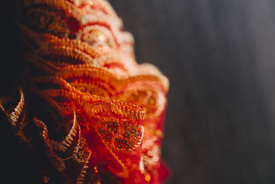 Close-up of red flower