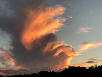 Low angle view of silhouette trees against dramatic sky