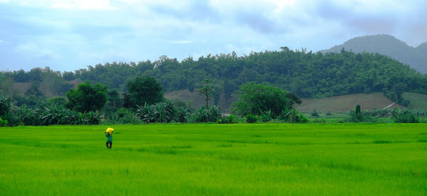 Scenic view of field against sky