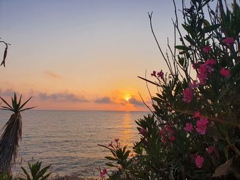 Scenic view of sea against sky at sunset