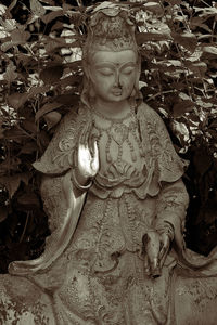 Close-up of statue