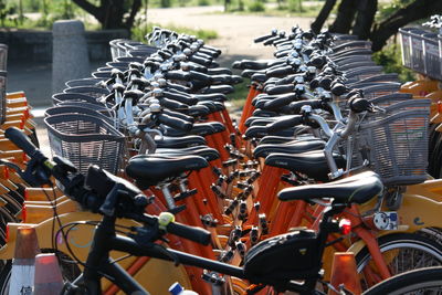 Bicycles parked in row