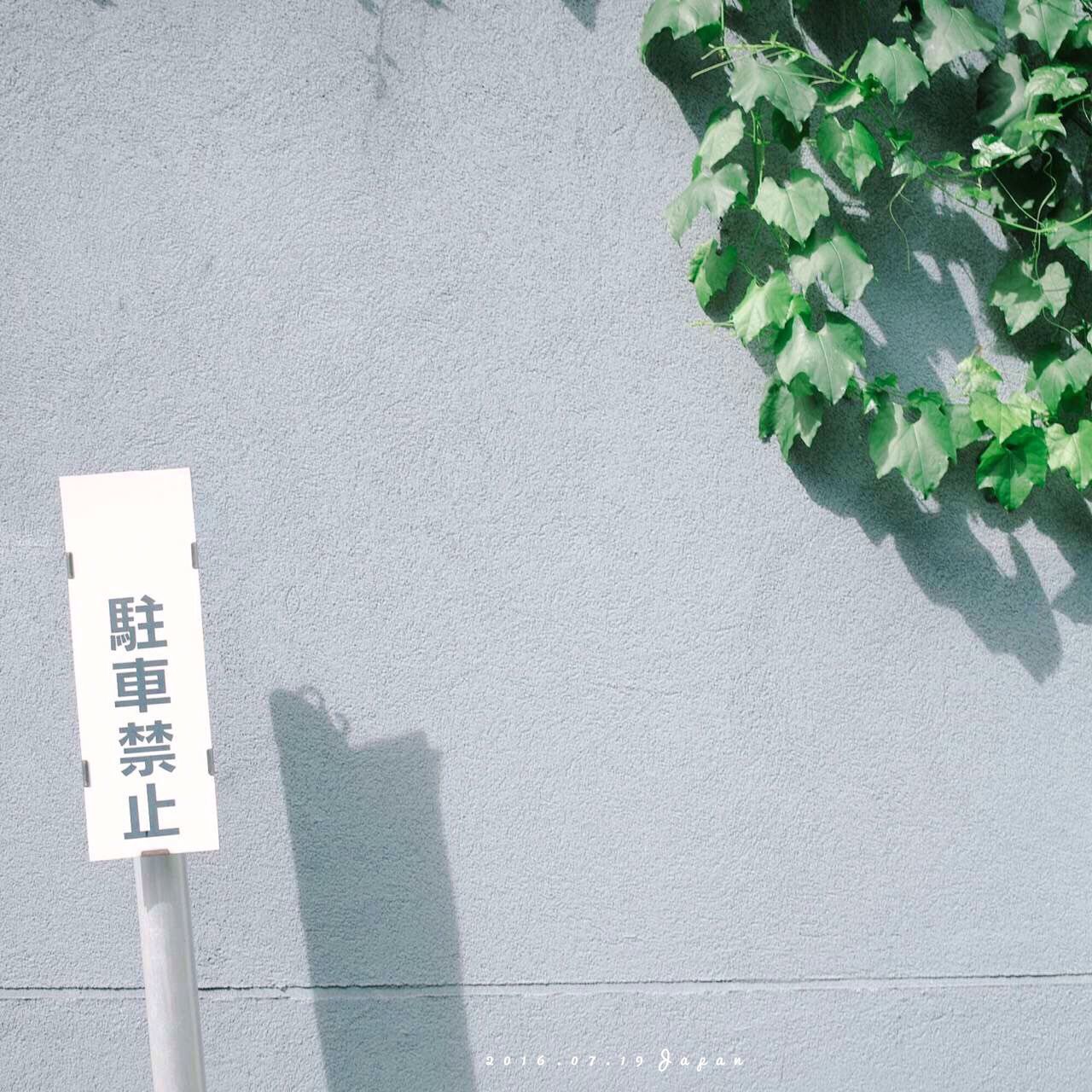 information sign, information, day, outdoors, no people, green color, pole, growth, nature, close-up