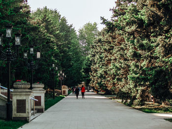 Rear view of people walking on street amidst trees