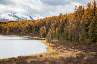 Scenic view of lake in forest against sky during autumn