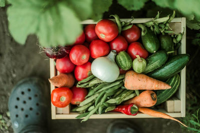 High angle view of vegetables on table