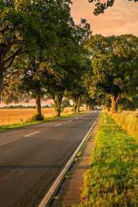 Road amidst trees against sky