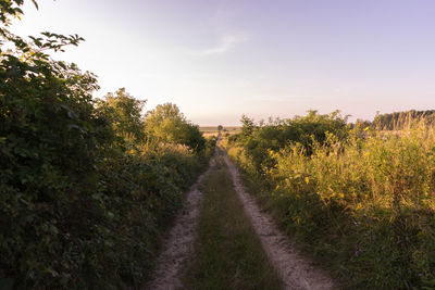 Scenic view of field against sky during sunset