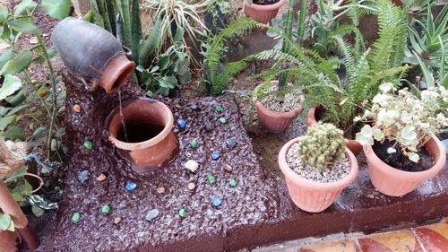 High angle view of potted plants