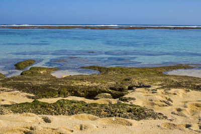 Scenic view of sea against clear blue sky