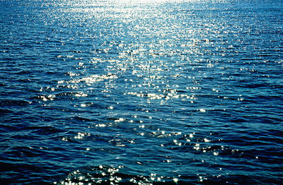 Close-up of sea shore