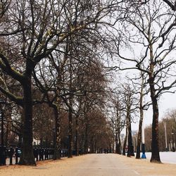 Empty road along trees