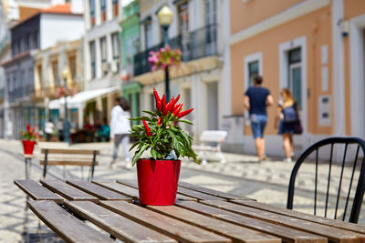 Red flower pot on sidewalk by building in city